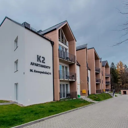 K2 *